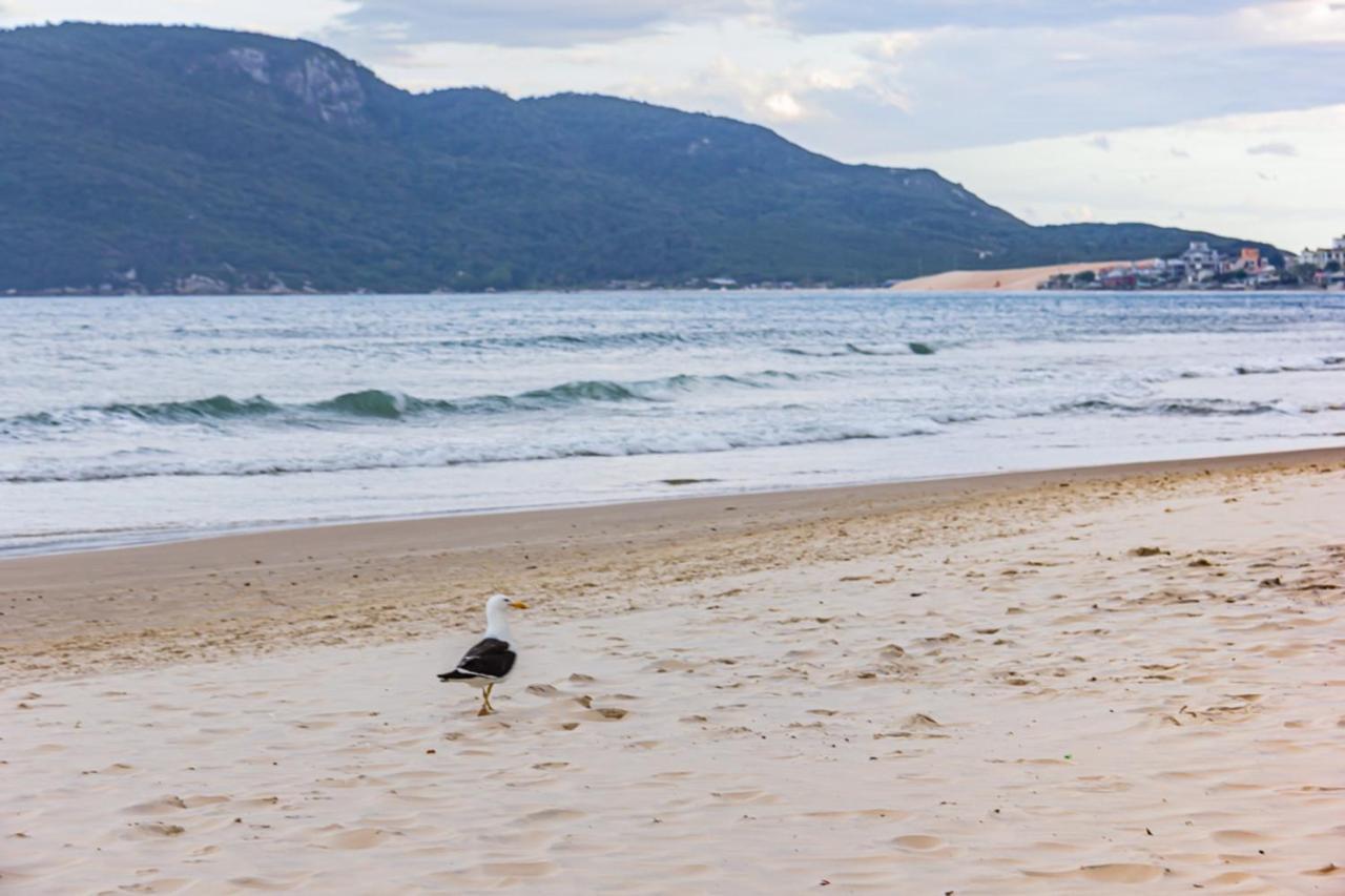 Cobertura Com Vista Mar Para 6 Hospedes, 150 Metros Da Praia Dos Ingleses Ing17 Florianópolis Exterior foto
